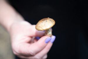 5 Best Professional-Strength Nail Fungus Solutions in 2026